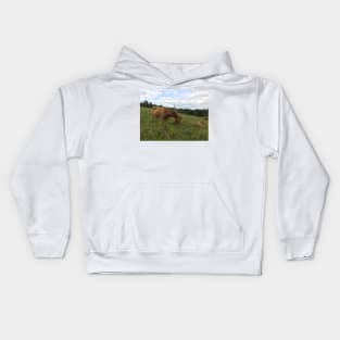 Scottish Highland Cattle Cow and Calf 1470 Kids Hoodie